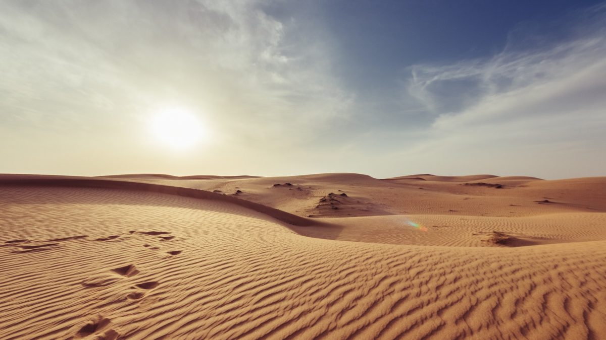10 Best Desert Movies Ever