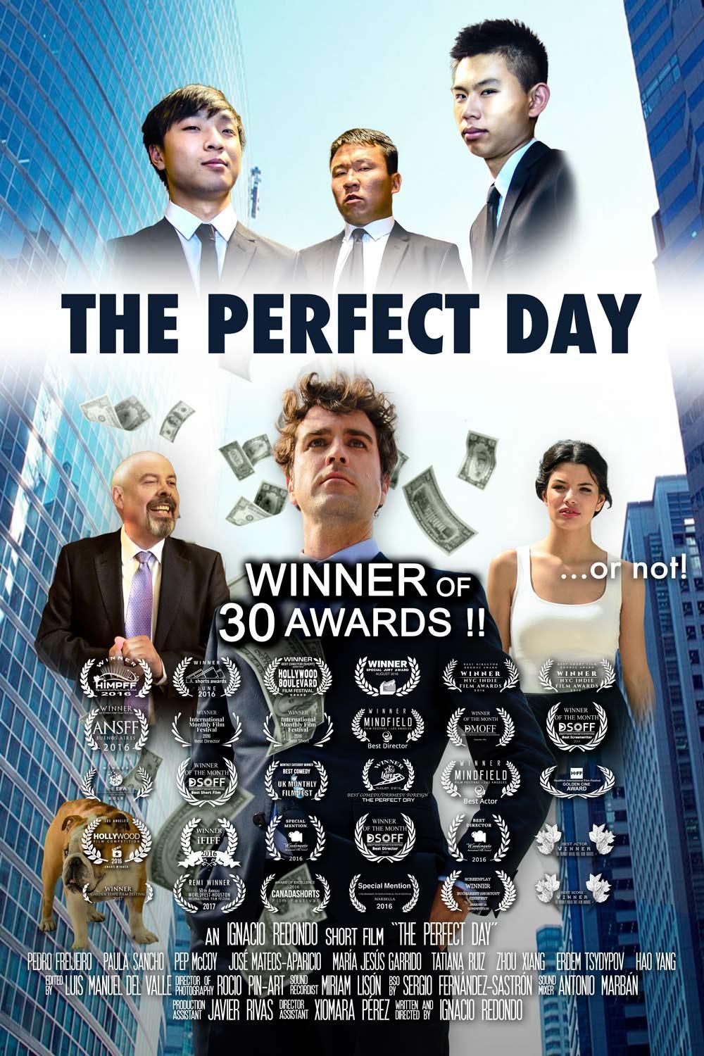 Watch The Perfect Day